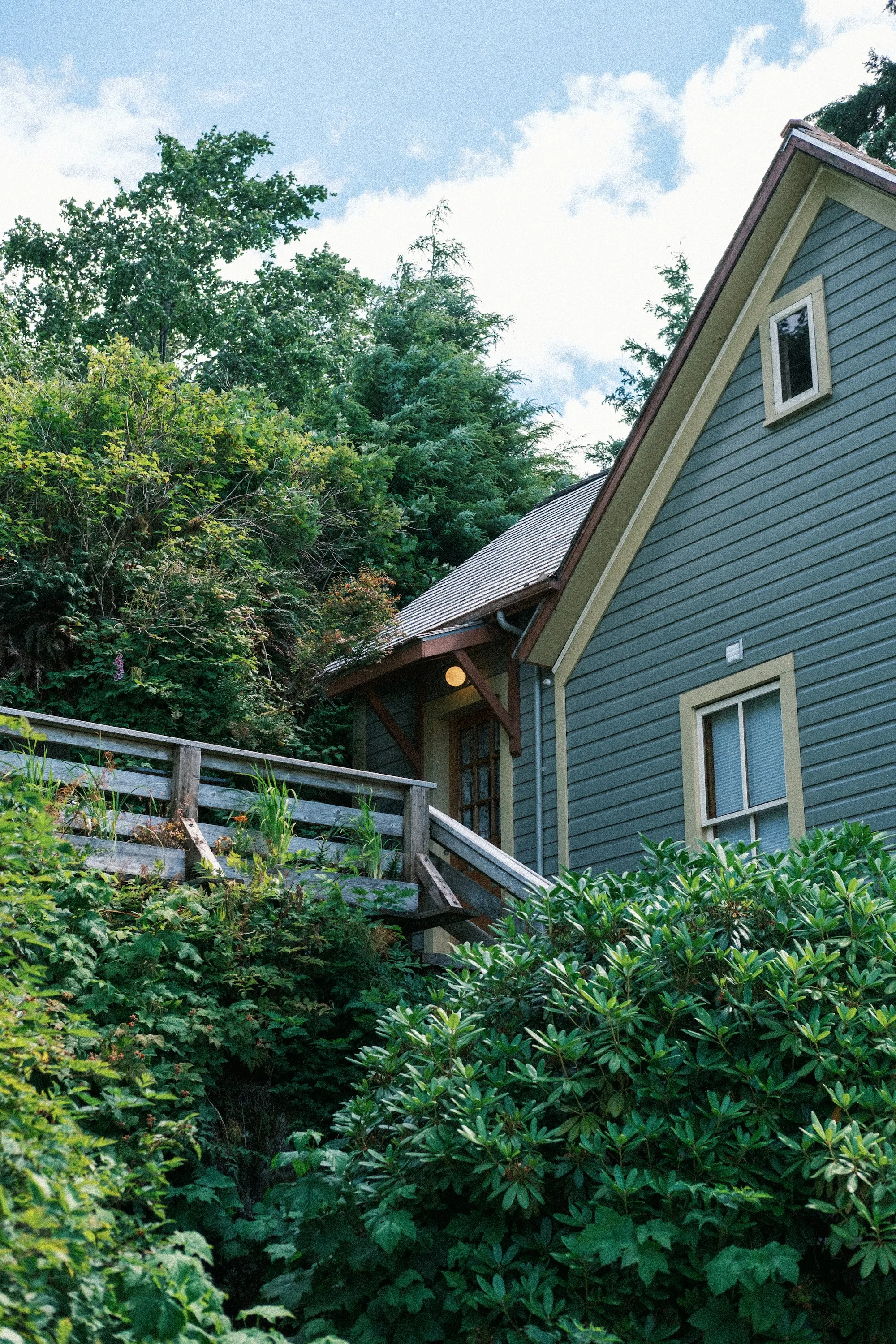 Blue-sided house with a wooden deck surrounded by trees